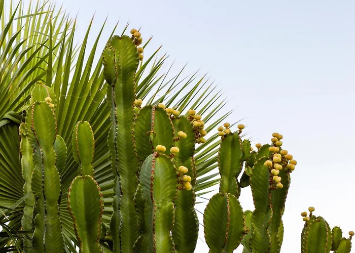 Bendex Costa Del Sol Villa Estepona