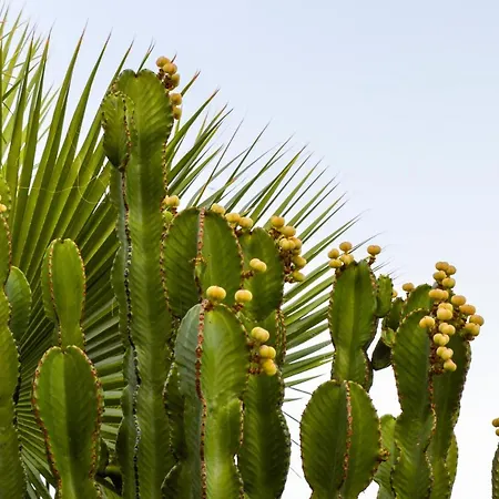 Bendex Costa Del Sol Villa Estepona