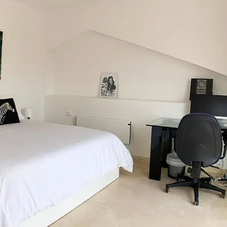 Bendex Costa Del Sol Villa